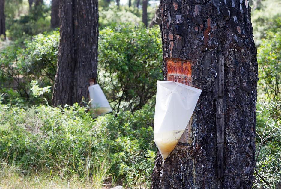 樹(shù)脂消泡劑