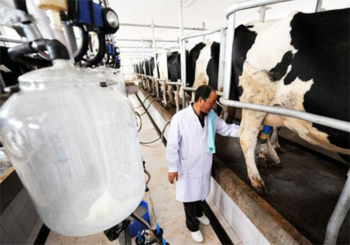 道康寧AFE-1520消泡劑